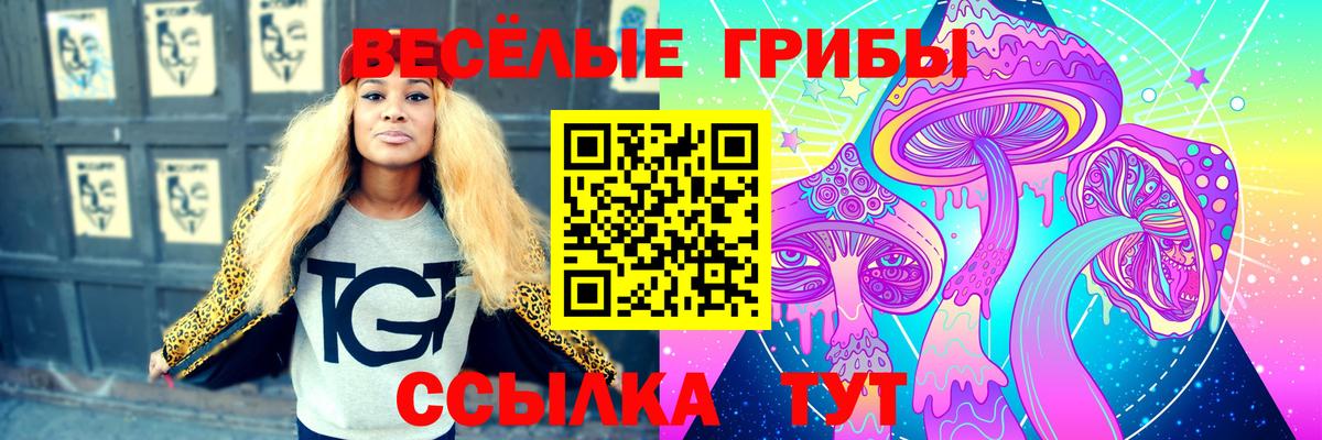 Псилоцибиновые грибы мицелий Ачинск
