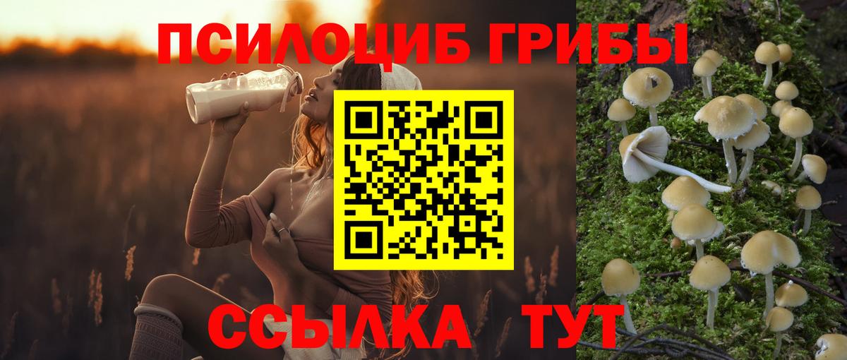 Галлюциногенные грибы Psilocybe  Вход с VPN  Ачинск  Псилоцибиновые грибы Psilocybine cubensis 